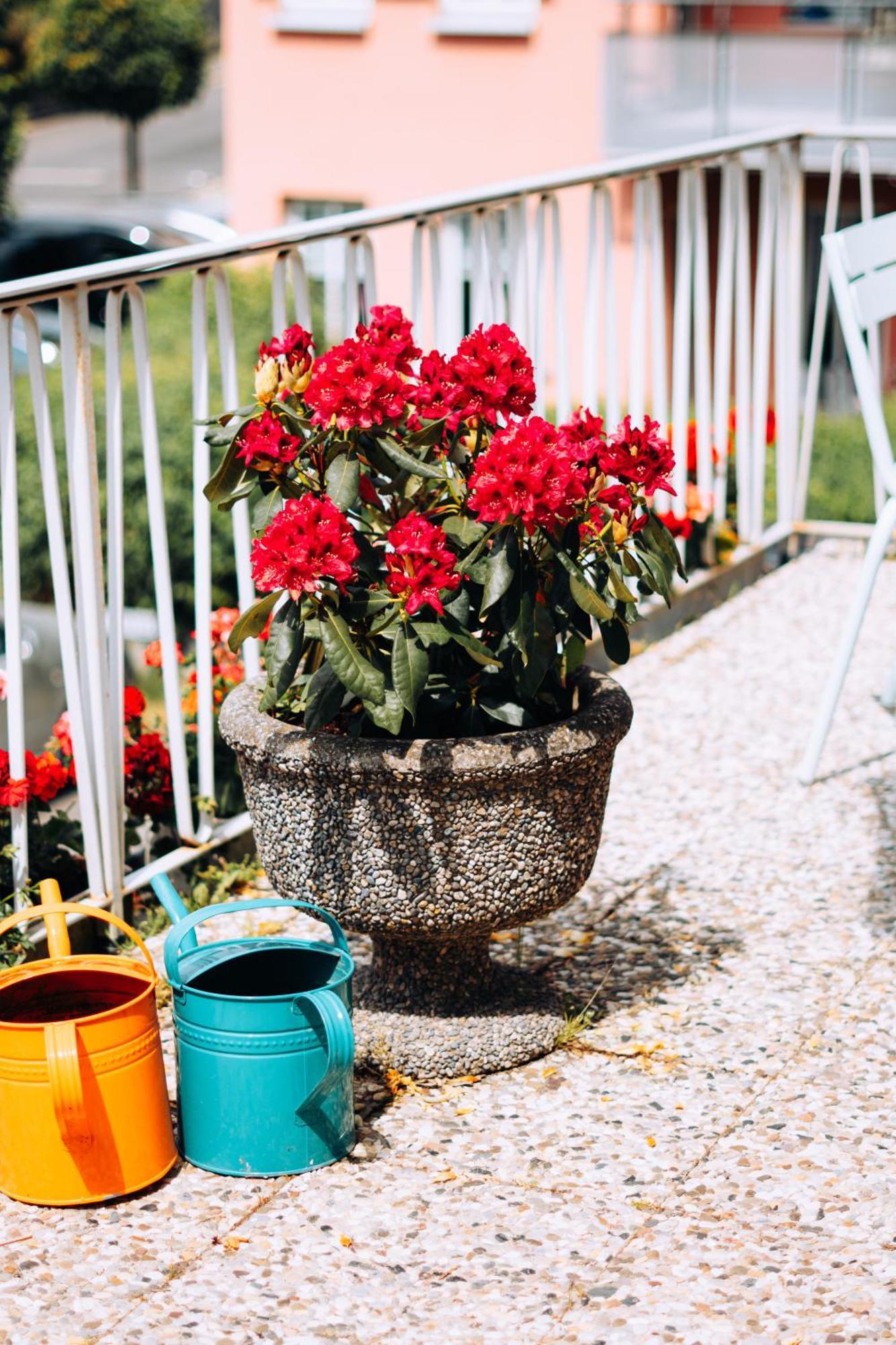 Molo Rouge - Boutiquehotel & Cafe Wunsiedel Bagian luar foto